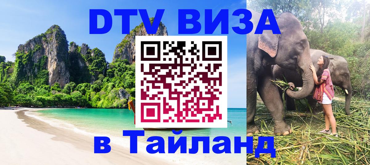 Оформление DTV визы под ключ: стоимость и тарифы, только загранпаспорт - Челябинск  05.10.2025 